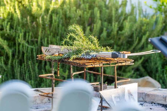 Braai grid ready among the rosemary bushes