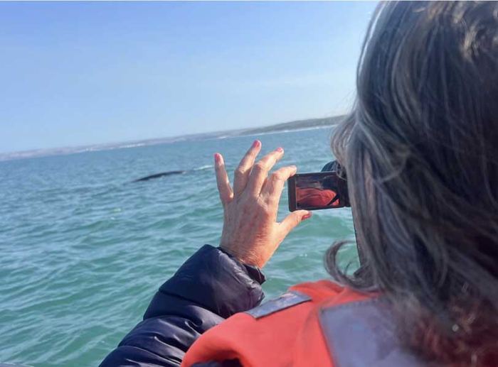 Photographing whales from the boat in Mossel Bay